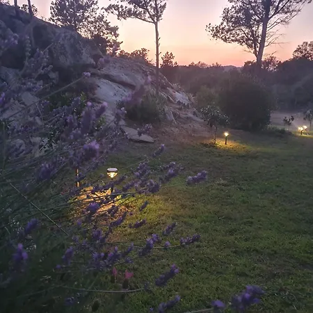 Mirialveda בית נופש